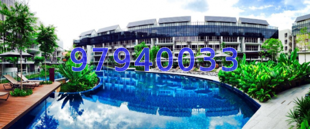 Flamingo Valley thumbnail photo